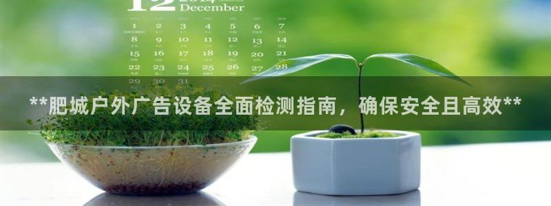 杏宇平台代理多少钱一个：**肥城户外广告设备全面检测指南，确保安全且高效**