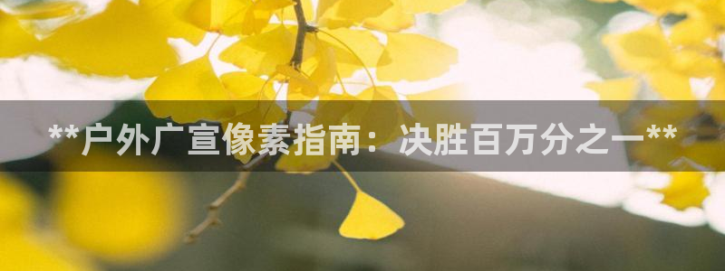 杏宇平台代理怎么赚钱快：**户外广宣像素指南：决胜百万分之一**