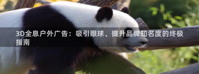 杏宇平台注册登录：3D全息户外广告：吸引眼球、提升品牌知名度的终极
指南