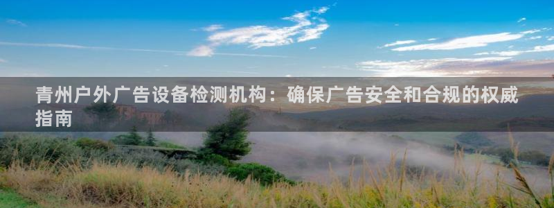 杏宇官方平台官网下载：青州户外广告设备检测机构：确保广告安全和合规的权威
指南