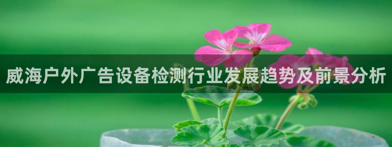 杏宇平台主管：威海户外广告设备检测行业发展趋势及前景分析