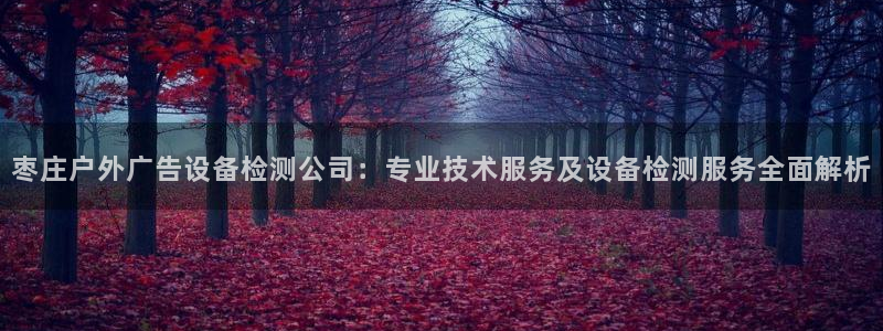 杏宇平台招商：枣庄户外广告设备检测公司：专业技术服务及设备检测服务全面解析