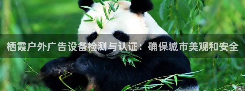 杏宇平台注册地址在哪里：栖霞户外广告设备检测与认证：确保城市美观和安全