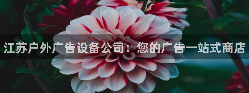 杏宇平台是什么