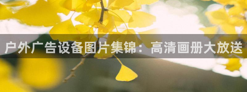 杏宇平台注册地址：户外广告设备图片集锦：