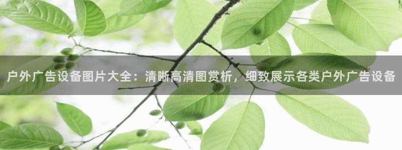 杏宇平台代理多少钱一个月：户外广告设备图片大全：清晰高清图赏析，细致展示各类户外广告设备