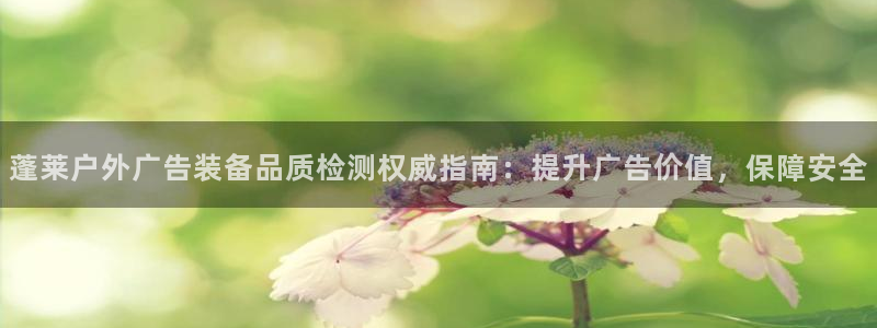 杏宇平台登录方法：蓬莱户外广告装备品质检测权威指南：提升广告价值，保障安全