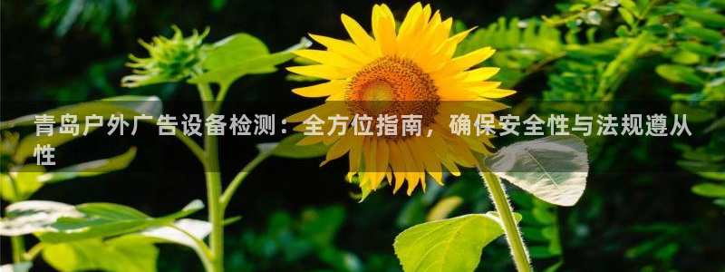 杏宇平台客服：青岛户外广告设备检测：全方