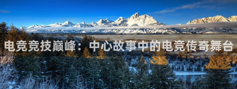 乐竞电竞体育官网：电竞竞技巅峰：中心故事中的电竞传奇舞台