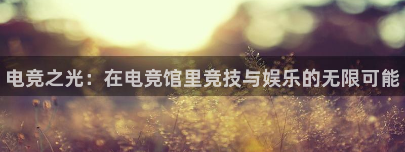 乐竞电竞青训基地：电竞之光：在电竞馆里竞技与娱乐的无限可能