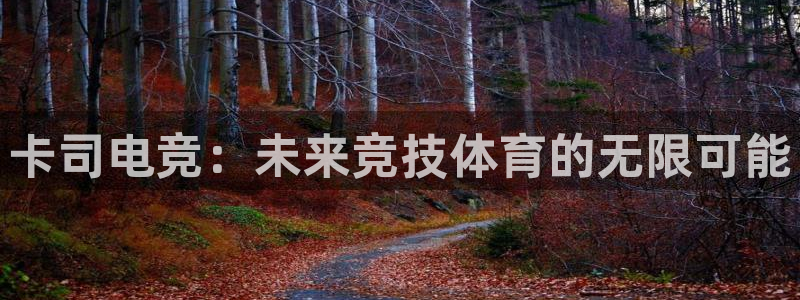 乐竞电竞体育官网：卡司电竞：未来竞技体育的无限可能