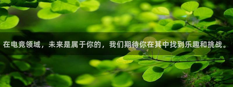 乐竞电竞平台