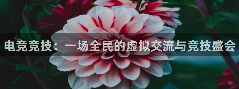 成都乐竞电竞