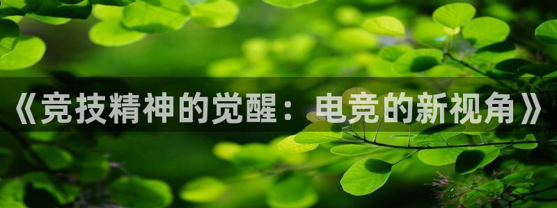 乐竞电竞体育官网：《竞技精神的觉醒：电竞的新视角》