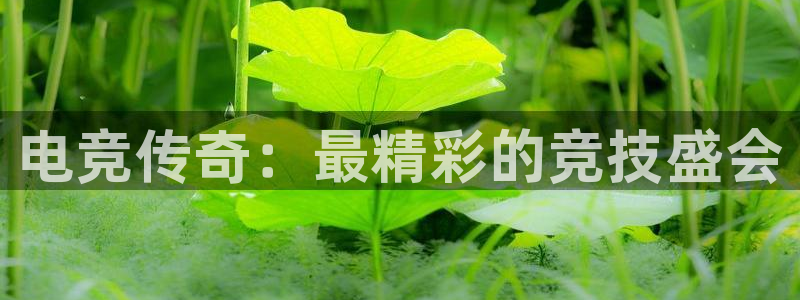 成都乐竞电竞：电竞传奇：最精彩的竞技盛会