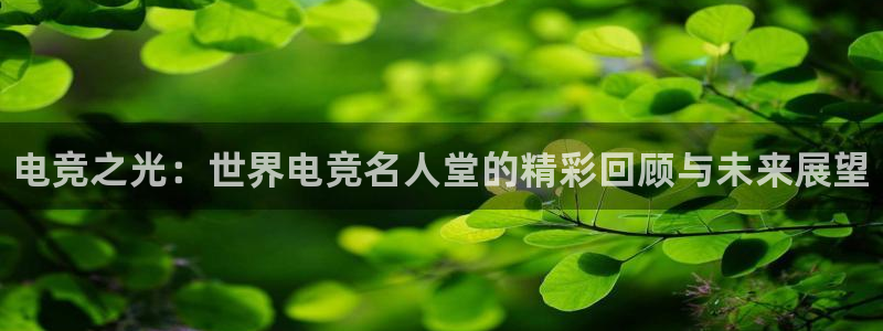乐竞电竞官网入口：电竞之光：世界电竞名人堂的精彩回顾与未来展望