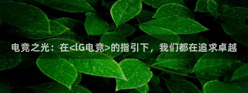乐竞电竞官网：电竞之光：在<lG电竞>的指引下，我们都在追求卓越
