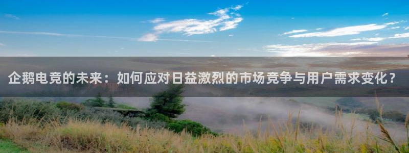 乐竞电竞实训中心收费标准：企鹅电竞的未来：如何应对日益激烈的市场竞争与用户需求变化？