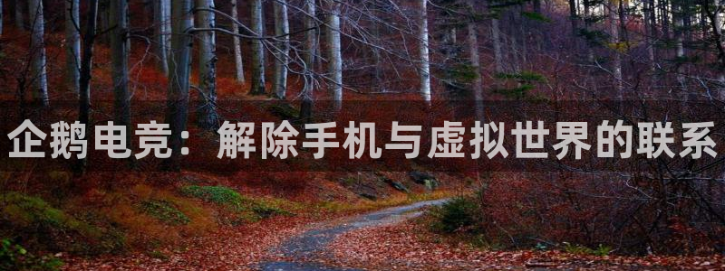 乐竞电竞实训中心收费标准：企鹅电竞：解除手机与虚拟世界的联系