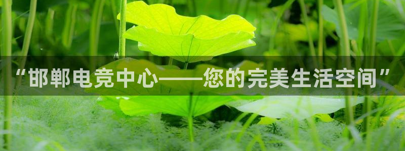 乐竞电竞体育官网：“邯郸电竞中心——您的完美生活空间”