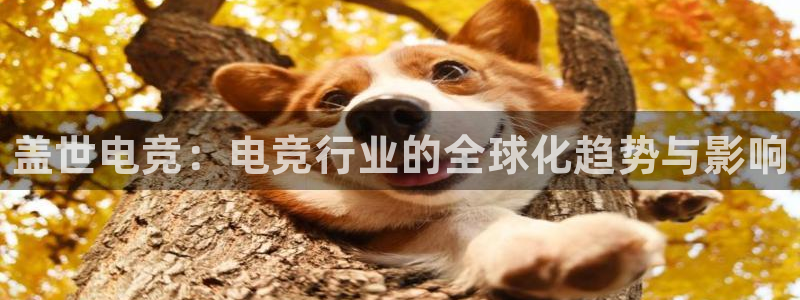 乐竞电竞：盖世电竞：电竞行业的全球化趋势与影响