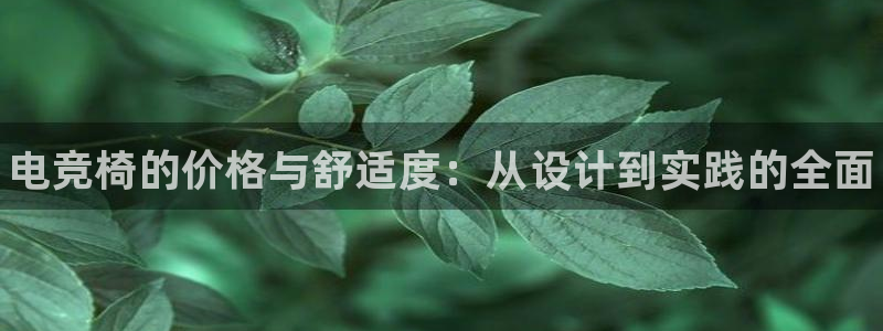 成都乐竞电竞青训基地：电竞椅的价格与舒适度：从设计到实践的全面