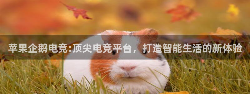 成都乐竞电竞青训基地：苹果企鹅电竞:顶尖电竞平台，打造智能生活的新体验