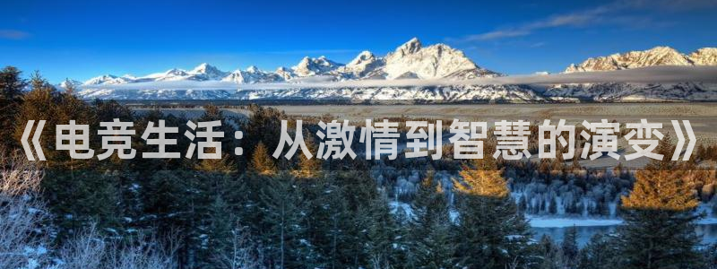 乐竞电竞实训中心收费标准：《电竞生活：从激情到智慧的演变》
