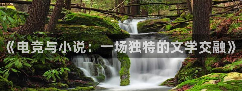 乐竞电竞平台：《电竞与小说：一场独特的文学交融》