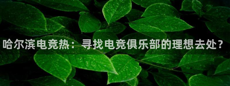 乐竞电竞app官方入口下载：哈尔滨电竞热：寻找电竞俱乐部的理想去处？