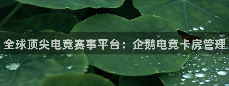 乐竞电竞青训基地：全球顶尖电竞赛事平台：企鹅电竞卡房管理