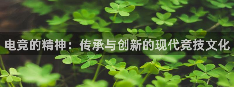 乐竞电竞app官方入口下载：电竞的精神：传承与创新的现代竞技文化