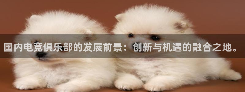 乐竞电竞实训中心收费标准：国内电竞俱乐部的发展前景：创新与机遇的融合之地。