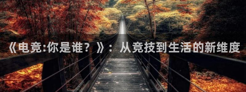 乐竞电竞app：《电竞:你是谁？》：从竞技到生活的新维度