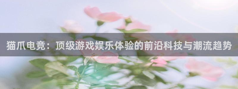 乐竞电竞实训中心收费标准：猫爪电竞：顶级游戏娱乐体验的前沿科技与潮流趋势