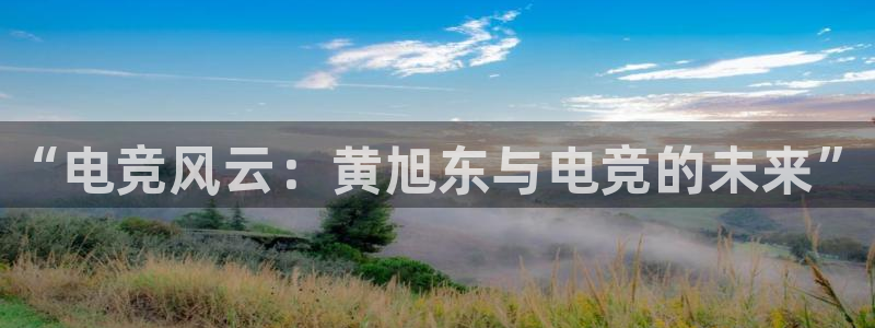 乐竞电竞app官方入口下载：“电竞风云：黄旭东与电竞的未来”