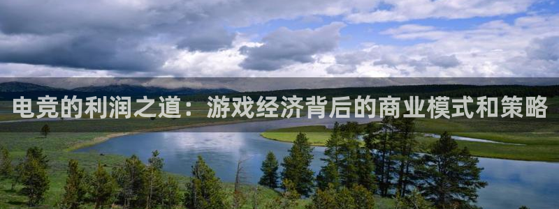 成都乐竞电竞：电竞的利润之道：游戏经济背后的商业模式和策略