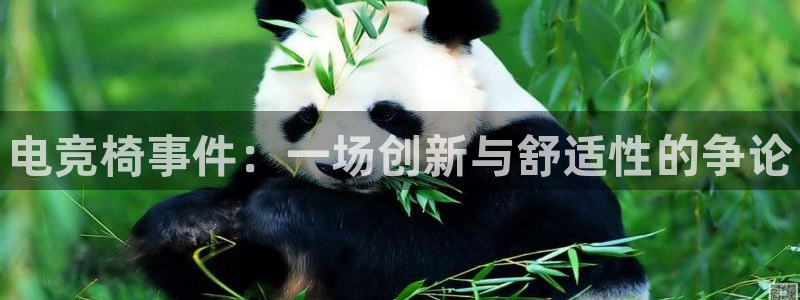 乐竞电竞竞猜：电竞椅事件：一场创新与舒适性的争论