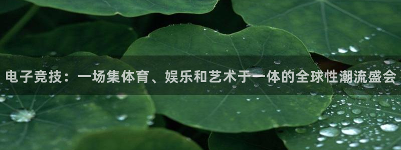 乐竞电竞学院怎么样：电子竞技：一场集体育、娱乐和艺术于一体的全球性潮流盛会