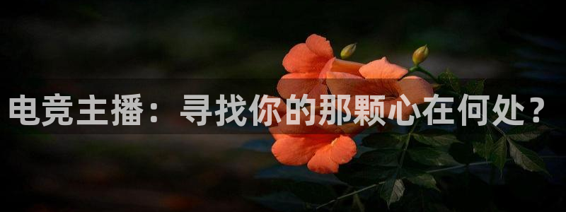 乐竞电竞青训基地怎么样：电竞主播：寻找你的那颗心在何处？