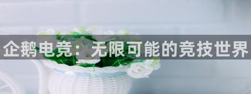 乐竞电竞平台：企鹅电竞：无限可能的竞技世界