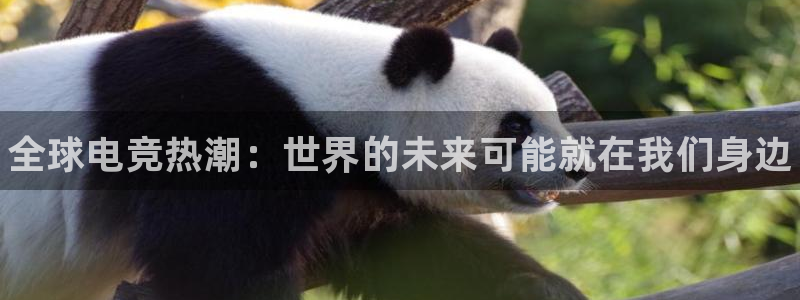 乐竞电竞：全球电竞热潮：世界的未来可能就在我们身边