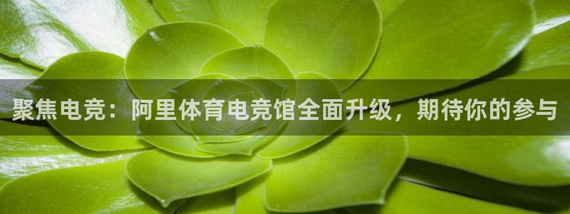 乐竞电竞体育官网：聚焦电竞：阿里体育电竞馆全面升级，期待你的参与