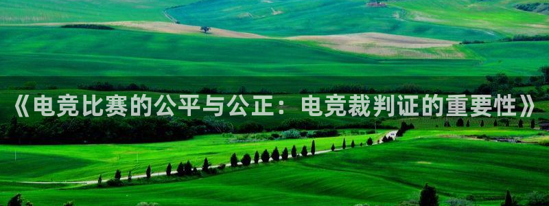 乐竞电竞官网入口：《电竞比赛的公平与公正：电竞裁判证的重要性》