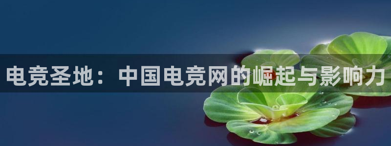 乐竞电竞体育官网：电竞圣地：中国电竞网的崛起与影响力