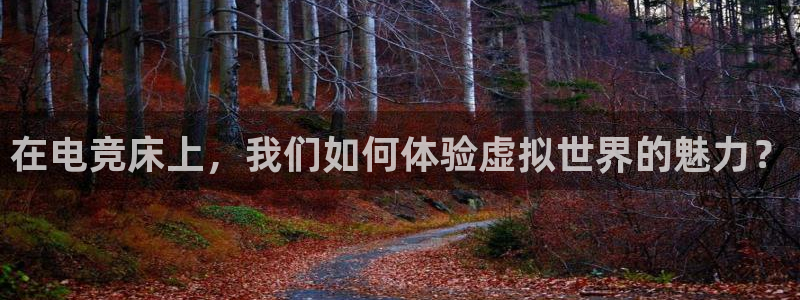 乐竞电竞app官方入口下载：在电竞床上，我们如何体验虚拟世界的魅力？