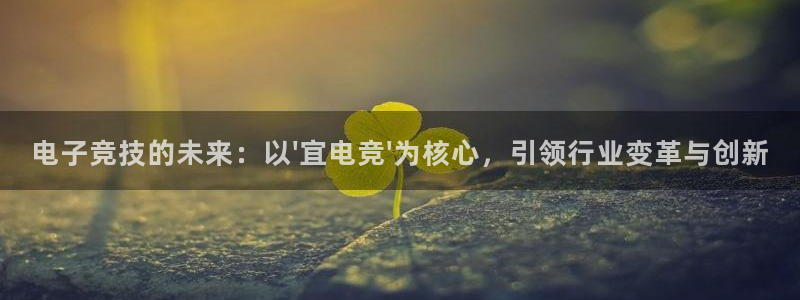 成都乐竞电竞青训基地：电子竞技的未来：以\'宜电竞\'为核心，引领行业变革与创新