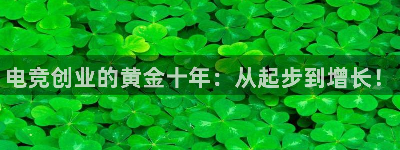 乐竞电竞：电竞创业的黄金十年：从起步到增长！