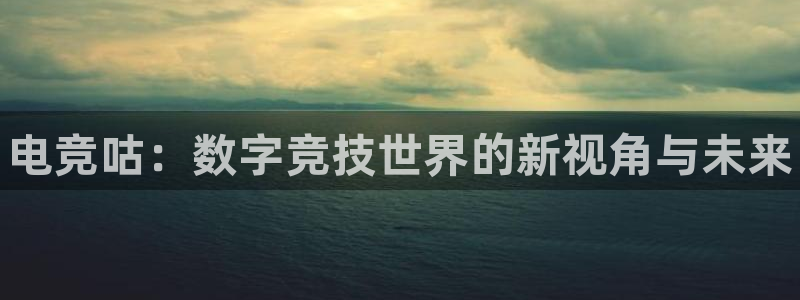 乐竞电竞学院怎么样：电竞咕：数字竞技世界的新视角与未来