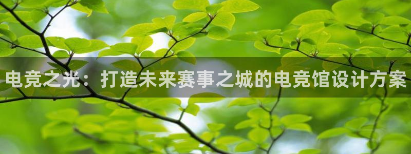 乐竞电竞青训基地怎么样：电竞之光：打造未来赛事之城的电竞馆设计方案